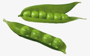 Free Png Pea Png Images Transparent - Green Peas Vegetables Clipart