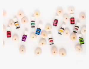 Cotton