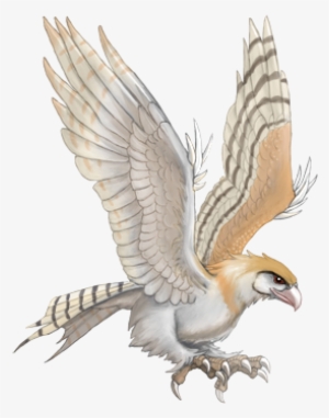 Roc Barnowl - Red-tailed Hawk