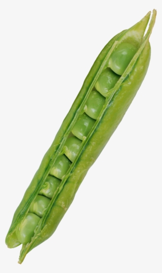 Free Png Pea Png Images Transparent - Vegetable