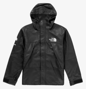 Supreme/the North Face Leather Mountain Parka - The North Face