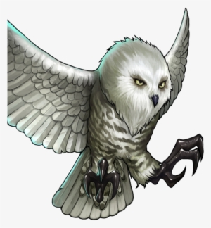 240 × 240 Pixels - Snowy Owl
