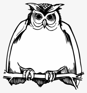 Horned Owl Clipart Black And White - Owl Clipart Black And White Png