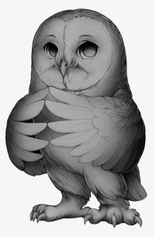 Owl Grey