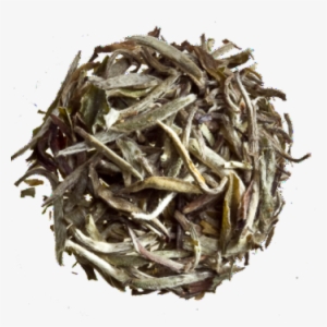 Organic Silver Needles - White Tea