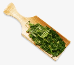 Green Tea Brand - Paint Brush