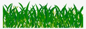 Green Grass Png Picture Transparent Background « Free - Grass