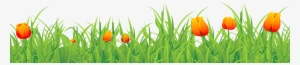 Ground Clipart Transparent Background - Grass Tulips Png