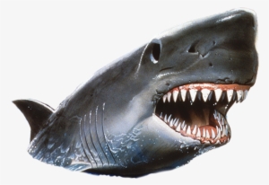 Shark Jaws Png Transparent Shark Jaws - Shark