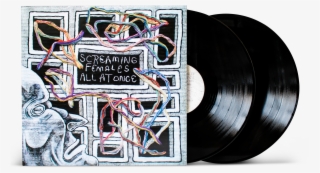 Screaming Females "all At - Screaming Females All At Once