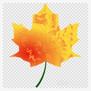Download Fall Transparent Background Leaves Clipart - Фото Листьев Деревьев Осенью