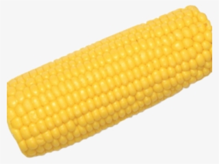 Corn On The Cob Png