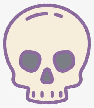 An Empty Skull, Mandible Missing - Skull