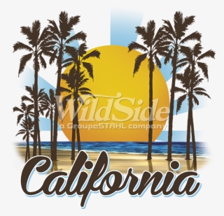 California Sunny Beach Stock Transfer - Design