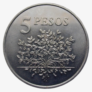 Pesos Png Langhanteln Gewichtsstangen Gewichte Fitnessartikel - Coin