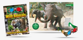 Go Wild As You Discover Some Of Nature's Most Amazing - Exploring Nature Incredible Elephants By Barbara Taylor