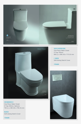 Water Closet & Bidet - Bathroom