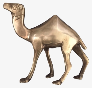 Clipart Free Library Brass Camel Figurine Statue - Arabian Camel