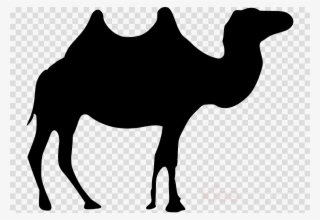 Black Camel Png Clipart Dromedary Clip Art - Clip Art
