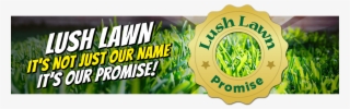 Lush Lawn Promise - Graphic Design