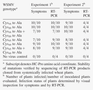 Infectivity Of Wheat Streak Mosaic Virus With Cys Teine - Psychology