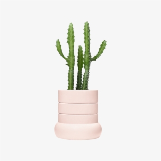 Flowerpot