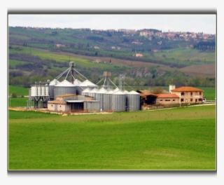 Barn