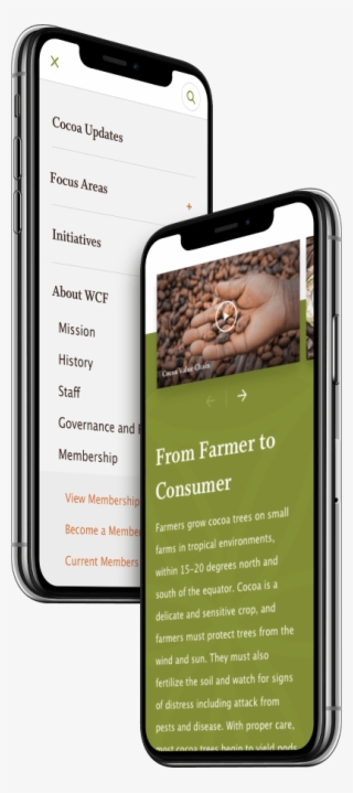 World Cocoa Foundation Website Displayed On Mobile - World Cocoa Foundation