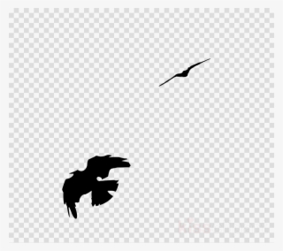 Common Raven Clipart American Crow Bird Rook - Transparent Background Sports Png