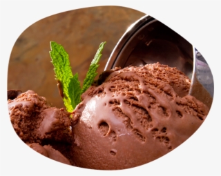 Chocolate Ice Cream Scoop - Probiotic Ice Cream