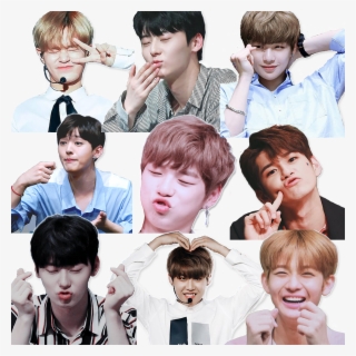 Wanna One Telegram Sticker Pack Download Now - Wanna One Png Pack