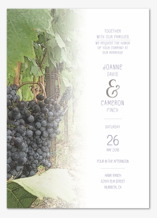 Tuscan Breeze Invitation Invitation Back - Grape