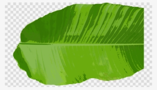 Banana Leaf Png Clipart Banana Leaf Clip Art - Clip Art