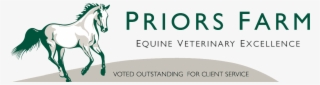 Pfevs - Priors Farm Equine Surgery