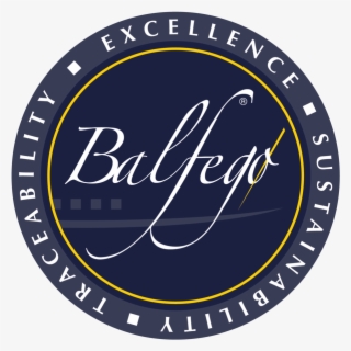 Balfego - Voted Bitches
