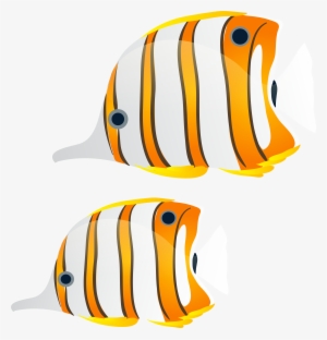 Fishes Png