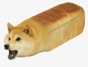 Shiba Inu Doge Youtube - Doge Bread Transparent
