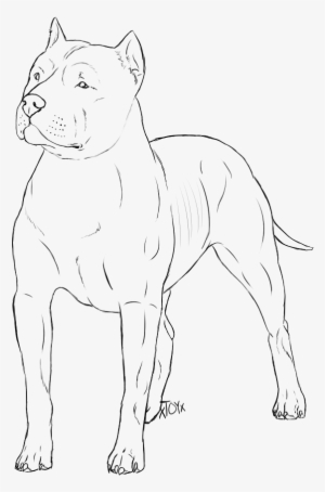 Mean Dog Drawing Crazywidow Info - Pit Bull