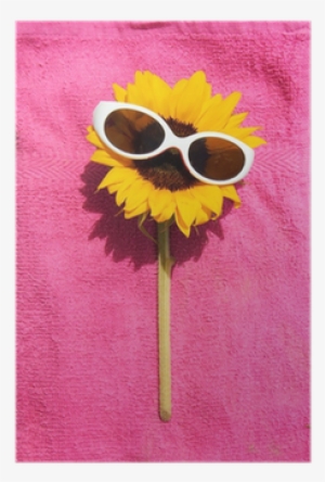 Funny Sunflower With Sunglasses On A Towel Relaxing - Wallpaper