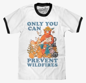 Only You Can Prevent Wildfires - Smokey The Bear