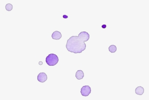 Ftestickers Paint Splatter Dots Purple - Paint Dots Png