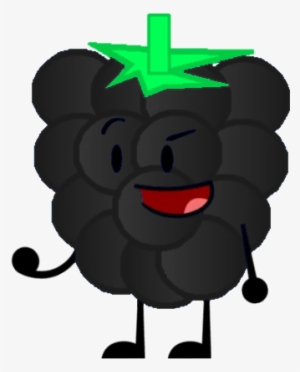 Blackberry - Raspberry