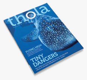 Thola Magazine Spread - Magazine