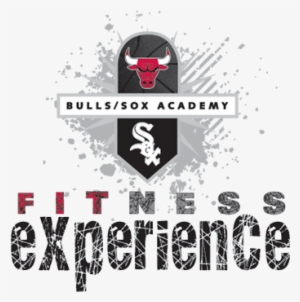 Field Trip Follow Up Tips - Bulls Sox Training Academy