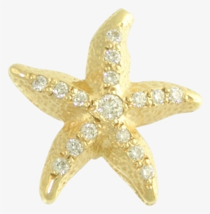 Sea Star Png High-quality Image - Jewellery Star Png