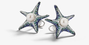 Pacific Sea Star - Earrings