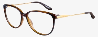 Shop The Cat Eye Shaped Carrera Glasses With Free Lenses - Guess Black Gold Eyeglasses