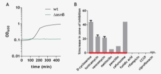 Increased Sensitivity Of The Dasnb Mutant To Lysozyme - Growth Curve