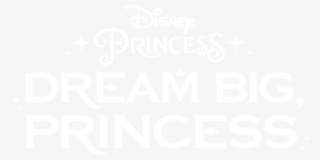 Amc Dream Big Princess