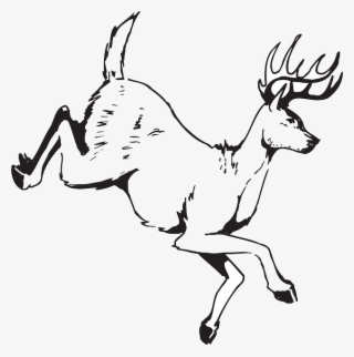 Deer, Jumping, Animal, Antlers, Wildlife - Clip Art